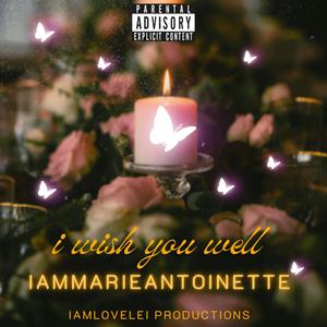 I Wish You Well (Explicit)