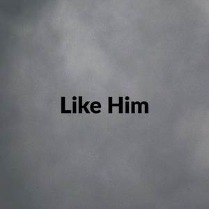 Like Him (Slowed|Reverb)