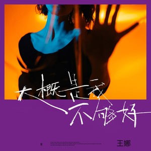 大概是我不够好-王娜