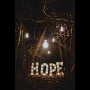 Mr.Echo-Hope（Remake） (Code Fungus remix)