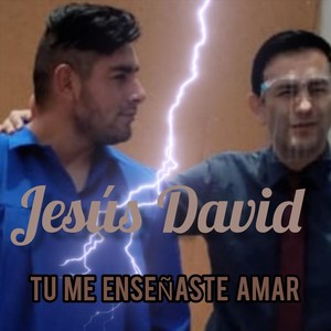 Tu Me Enseñaste Amar