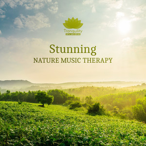 Stunning Nature Music Therapy