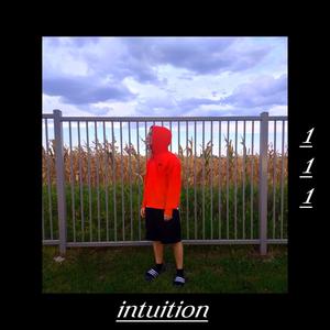 intuition (111) [Explicit]