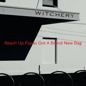 Reach Up(Papa's Got A Brand New Bag) (Karaoke tribute version originally performed by Perfecto Allstarz)