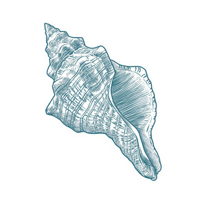 Snäckan (interlude)