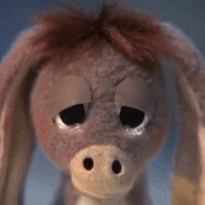 what do you do in the night?