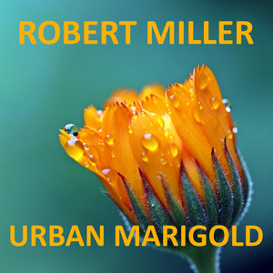Urban Marigold