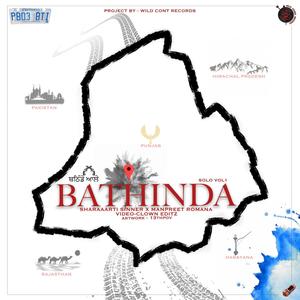 Bathinda SOLO Vol 1 Wild Count Records