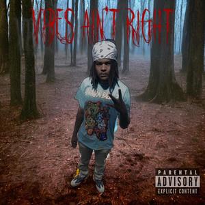 Vibes Aint Right (Explicit)