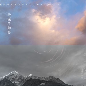 云深不知处 (DJ版)