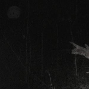 CAN'T HIDE (Explicit)