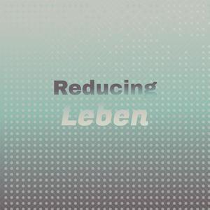 Reducing Leben