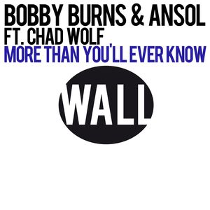 More Than You'll Ever Know (feat. Chad Wolf) (Radio Edit)