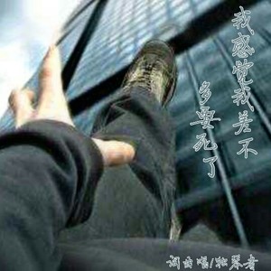 独琴者 - 我感觉我差不多要死了