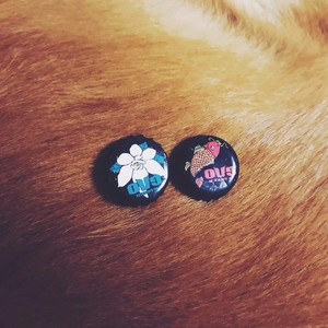 找寻你的歌 (Demo)