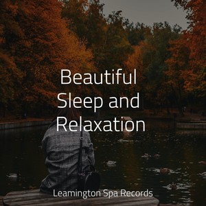 Beautiful Sleep and Relaxation