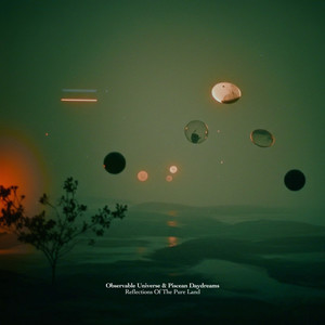 Reflections of the Pure Land