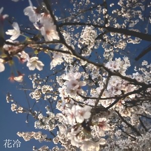花冷