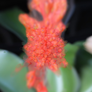 Preference - Pinch (Plus One Remix)