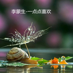 一点点喜欢 (伴奏)