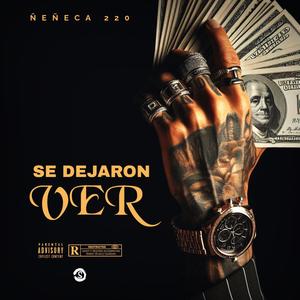 SE DEJARON VER (Explicit)