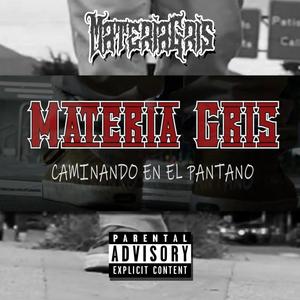 Caminando en el Pantano (Explicit)