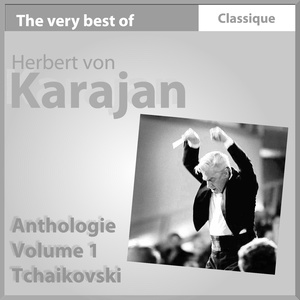 Symphonie No. 6, en do mineur, Op. 67 - Adagio, allegro non troppo Pathétique