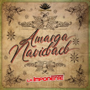 Amarga Navidad