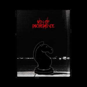 Black Horse