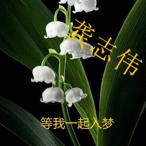 如果云知道