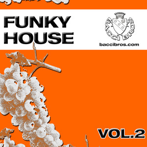 Funky House (Vol. 2)