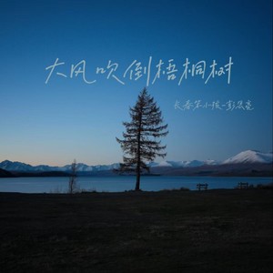 大风吹倒梧桐树-长春笨小孩-彭思亮