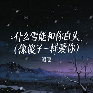什么雪能和你白头 (像傻子一样爱你)