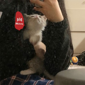 如果的事-前女友&小奶瓶&寐加岛&7美人