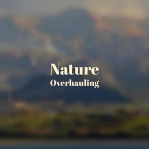 Nature Overhauling