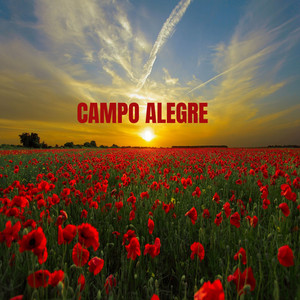 Campo alegre