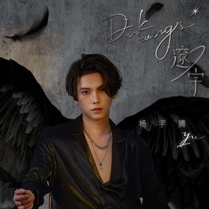 邃宇Dark wings