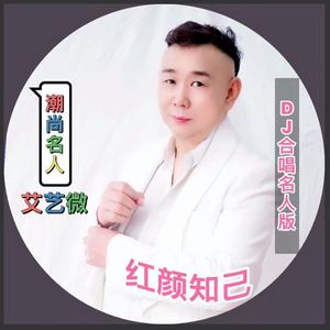 红颜知己 (DJ合唱名人版)
