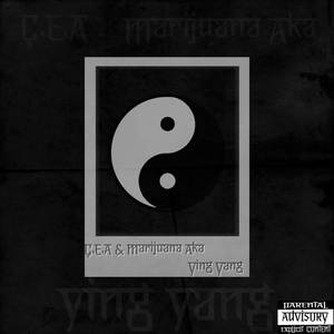 Ying Yang