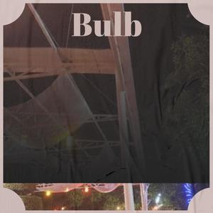 Bulb