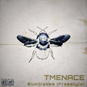 Bumblebee (Freestyle) [Explicit]