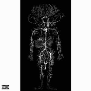 No Anatomy (Explicit)