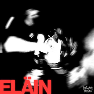 Eläin