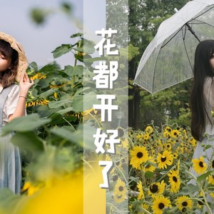 花都开好了