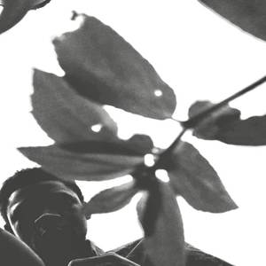 Like I Do (Speed up|Explicit)