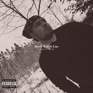 ***** You A Liar (Explicit)