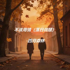 不该用情（落日微醺）