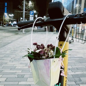 Цветы (Explicit)