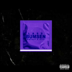 Lass bumsen (Remix)