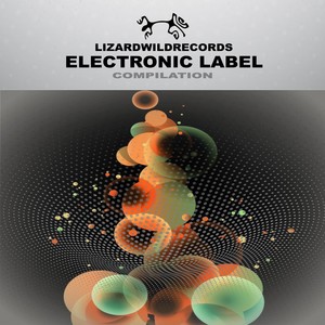 Electronic Label Compilation (Explicit)